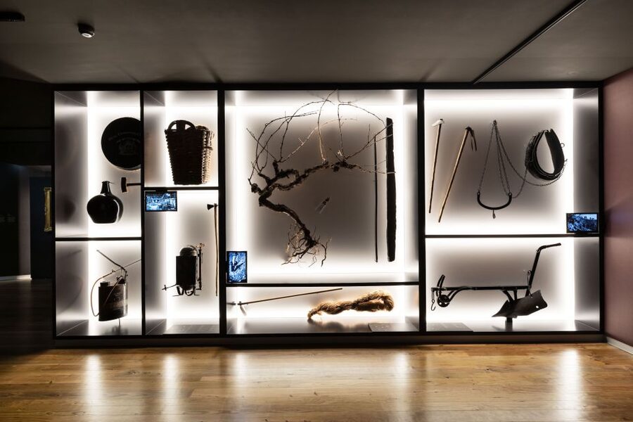 Porto: Museum of the Oldest Appellation in the World Ticket - Timing That Works: When This Museum Fits Your Day