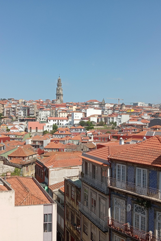 Porto - Old Town Tour with an official guide - Cordoaria’s Garden and the University of Porto: breathing room during the walk