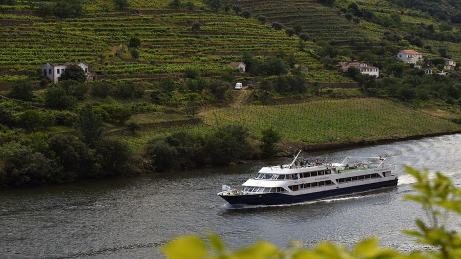 Porto/Pinhão/Porto - Lunch on board and the drinks rule you should remember