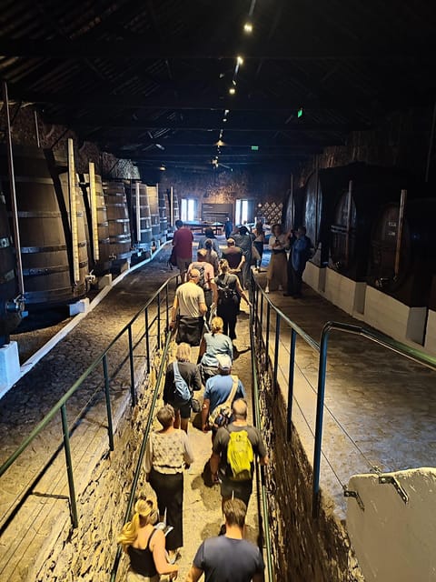Porto: Port and Douro Wine Walking Tour with 9 Tastings - Meeting point and timing, the easy way to start
