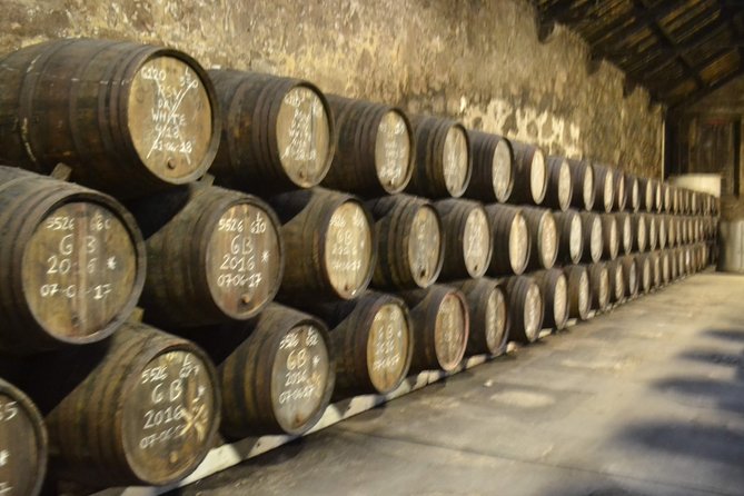 Porto: Port and Douro Wine Walking Tour With 9 Wine Tastings - Walking logistics in Gaia: slope, rain, and comfort choices
