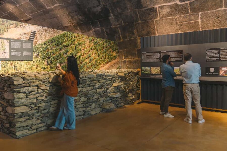 Porto: Port Cellar Visit and Wine Tasting at Fonseca - Key highlights you should not miss