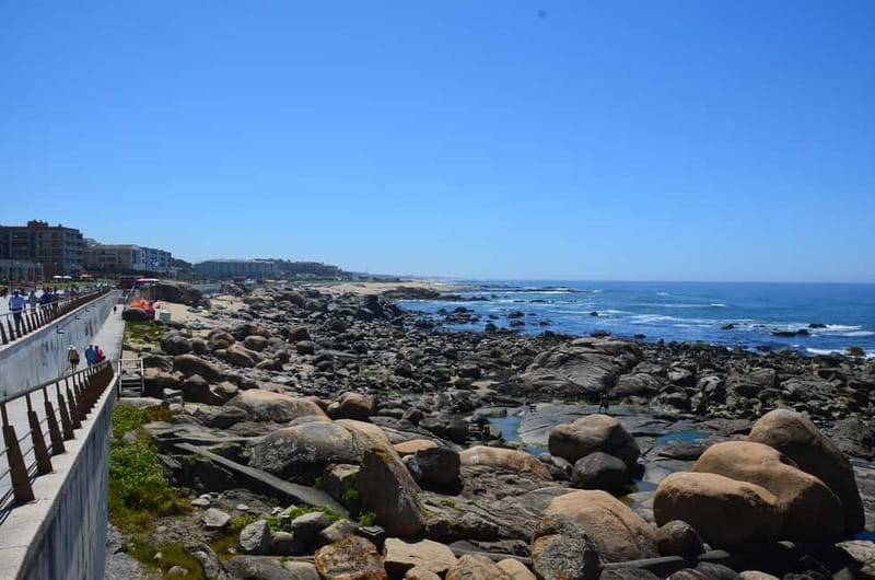 Porto: Porto Bike or E-Bike Atlantic Route - Price and value: is $94 a good deal for this kind of day?