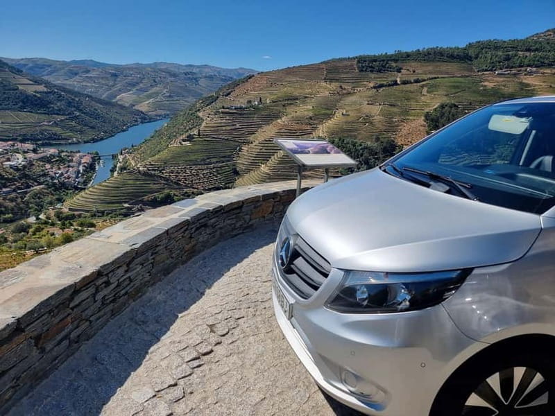 Porto: Premium Douro Valley Small-Group Tour, Cruise & Lunch - Wine tasting plan: how the day moves through DOC, Port styles, Moscatel, LBV, and Vintage Port