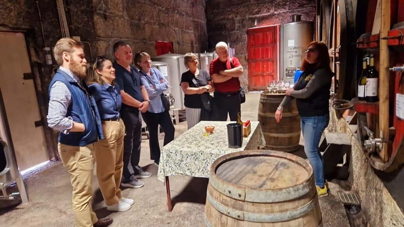 Porto: Premium Douro Valley Small-Group Tour, Cruise & Lunch - Getting from Porto to the vines, with built-in chances for great photos