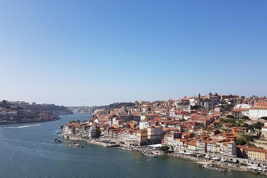 Porto : Private Custom Tour with a Local Guide - What you will actually see: monuments, museums, and the street-level Porto