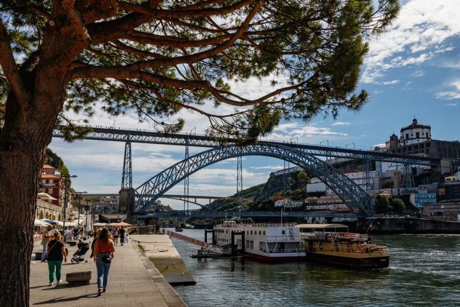 Porto: Private Custom Tour with a Local– Icons & Hidden Gems - Douro River views and port wine, planned the smart way