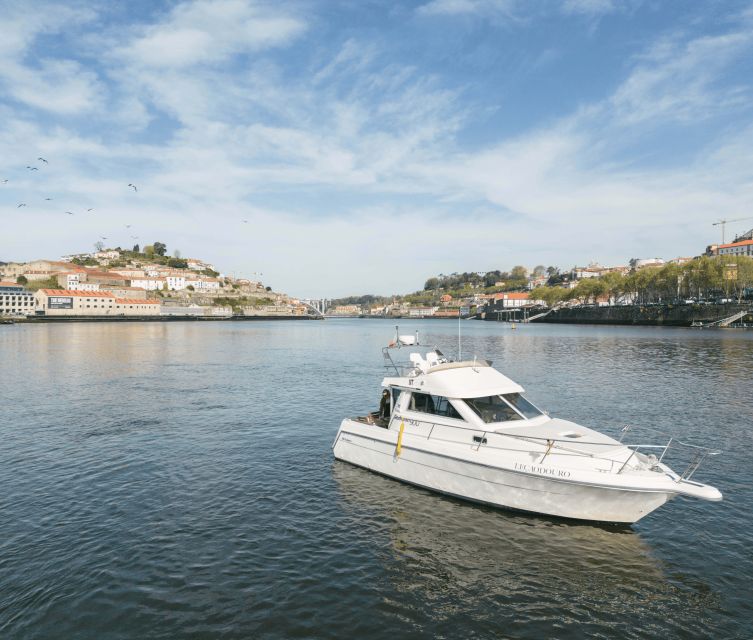 Porto: Private Douro River Sunset Cruise - Key things I’d pay attention to