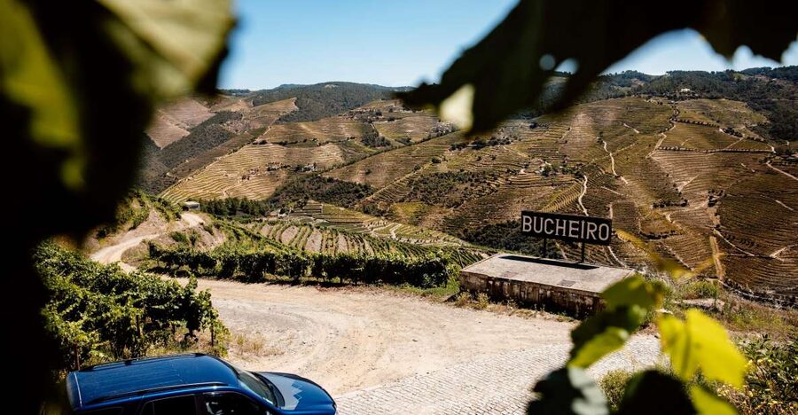 Porto: Private Douro Valley 4x4 Tour with Lunch - Key Points You Should Know Before You Go