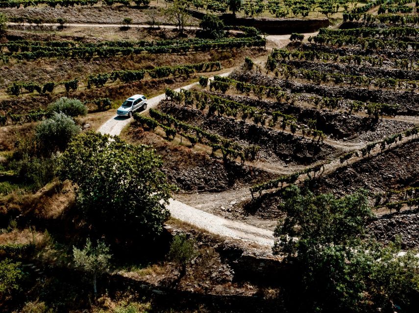 Porto: Private Douro Valley 4x4 Tour with Lunch - Who This Tour Fits Best, and Who Should Rethink It