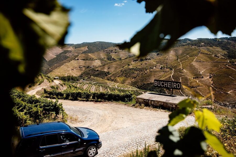 Porto: Private Douro Valley 4x4 Tour with Lunch - Should You Book This Private Douro 4x4 Tour With Lunch?