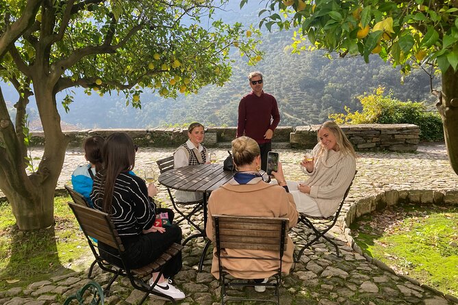 Porto: Private Douro Valley All Inclusive: Tastings, Lunch & Boat - Douro tastings at a small Quinta with serious views