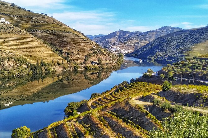 Porto: Private Douro Valley All Inclusive: Tastings, Lunch & Boat - What all-inclusive really means here, and what it might not