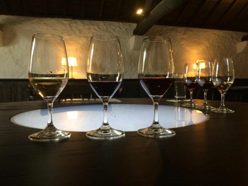Porto: Private Guided Wine-Tasting Tour - Key highlights worth your attention