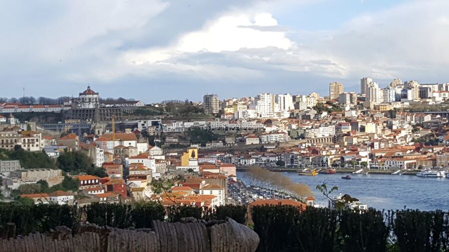 Porto: Private Half-Day as a Local Experience - How much value you get from $222 per group up to four