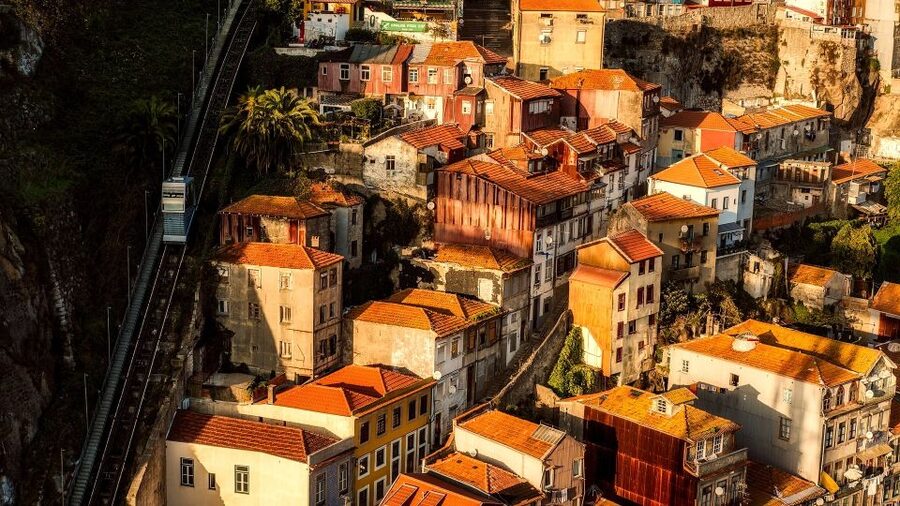 Porto Private Half Day Walking Tour: Cruise & Wine Tasting - Walking the historic center: the iconic Porto sights you’ll want to understand