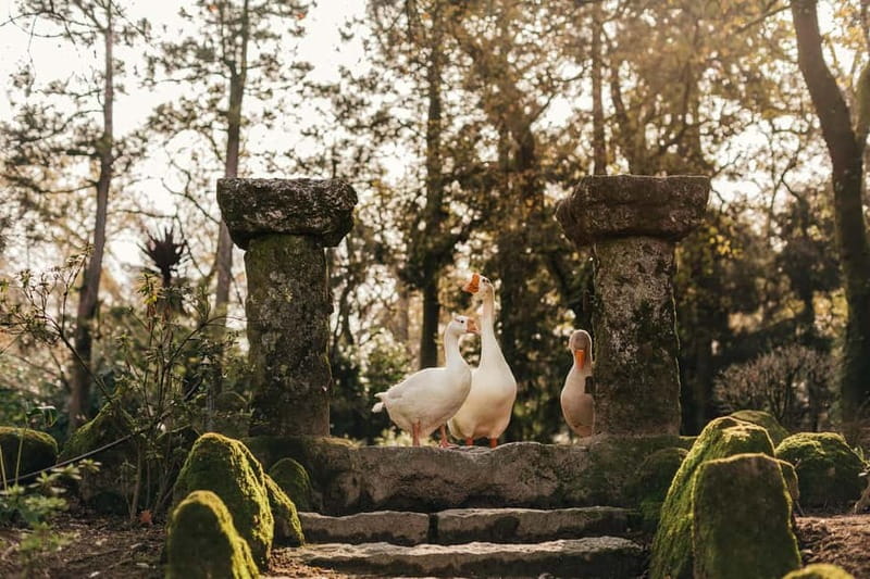 Porto: Qta da Aveleda Enchanted Gardens & Green Wine - Why Quinta da Aveleda Feels Like More Than a Winery Visit