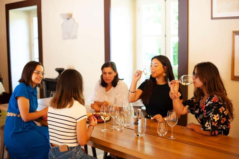 Porto: Qta da Aveleda Enchanted Gardens & Green Wine - Getting from Porto to the Estate: What the 1-Hour Ride Means for You