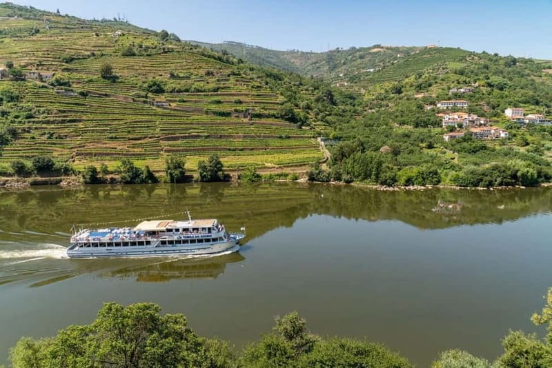 Porto/Regua/Porto (and reverse): Douro River Cruise + Lunch - Douro Valley views from the water: what you’ll actually see