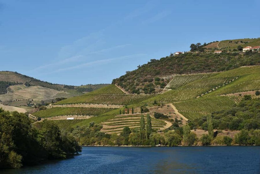 Porto/Régua/Porto - Downstream - A Porto to Régua Douro cruise in one day