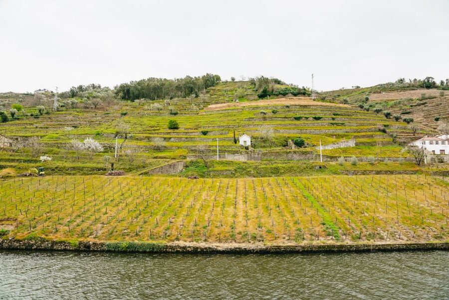 Porto - Régua - Porto Upstream Douro Cruise & Tour - The multilingual audio guide: useful context, with one catch
