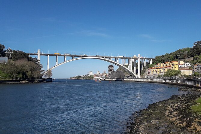 Porto Riverbank E-Bike Tour - Atlantic Coast, Gardens - Arrábida Bridge and Jardim do Calém: engineering + Portugal’s explorer-era stories