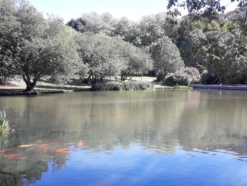 Porto Riverbank Tour on an e-bike: Atlantic Coast, Gardens - Price and value: is $57 worth 3 hours of e-bike time?