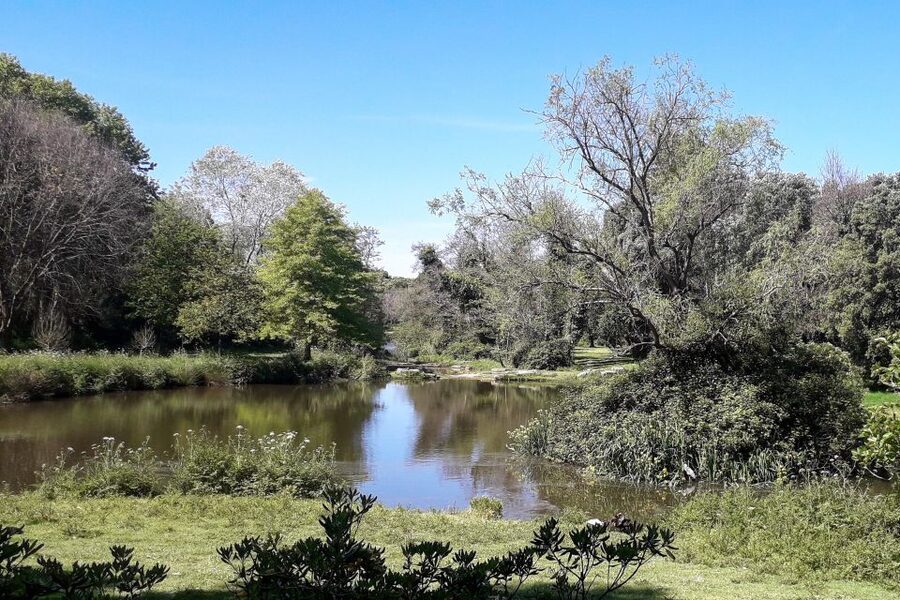 Porto Riverbank Tour on an e-bike: Atlantic Coast, Gardens - Garden calm at Jardim do Passeio Alegre, then ocean air at Foz do Douro