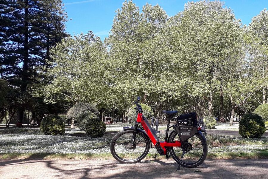 Porto Riverbank Tour on an e-bike: Atlantic Coast, Gardens - Castelo do Queijo, Matosinhos Beach, and the Atlantic feel you can actually ride to