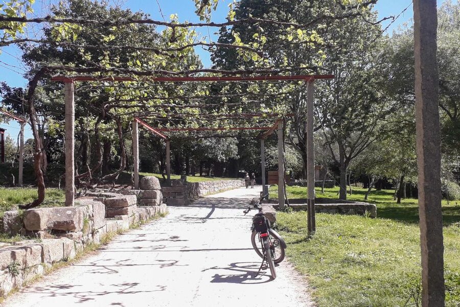 Porto Riverbank Tour on an e-bike: Atlantic Coast, Gardens - Parque da Cidade do Porto and Pasteleira Park: where the ride gets greener