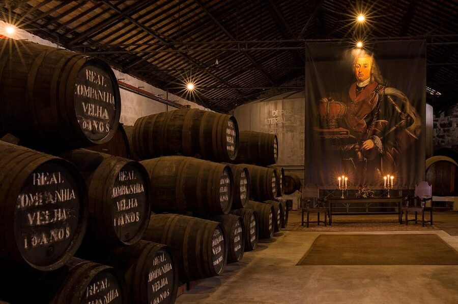 Porto: Royal Oporto Tour na Real Companhia Velha - Port tasting that actually matches what you toured