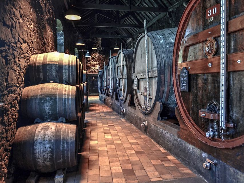 Porto: Self-Guided Bike and Boat Tour with Port Wine Tasting - What the price includes, and why $76 can be fair value