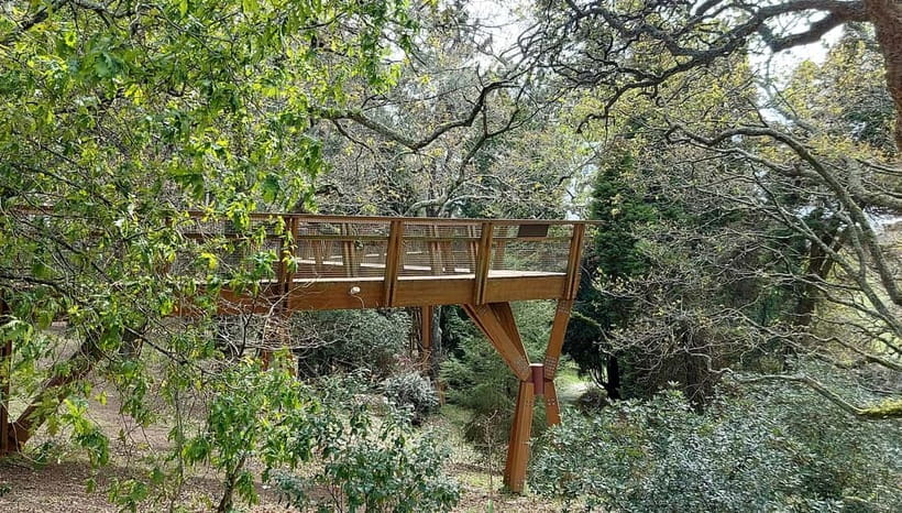 Porto: Serralves Gardens Art and Architecture Walking Tour - Serralves is art you can walk through, with trees doing the staging