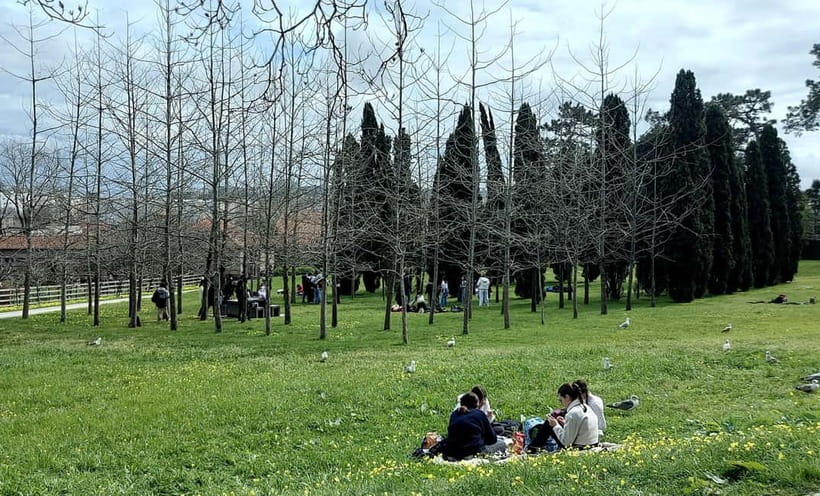 Porto: Serralves Gardens Art and Architecture Walking Tour - Should you book this Serralves Gardens art and architecture walking tour?