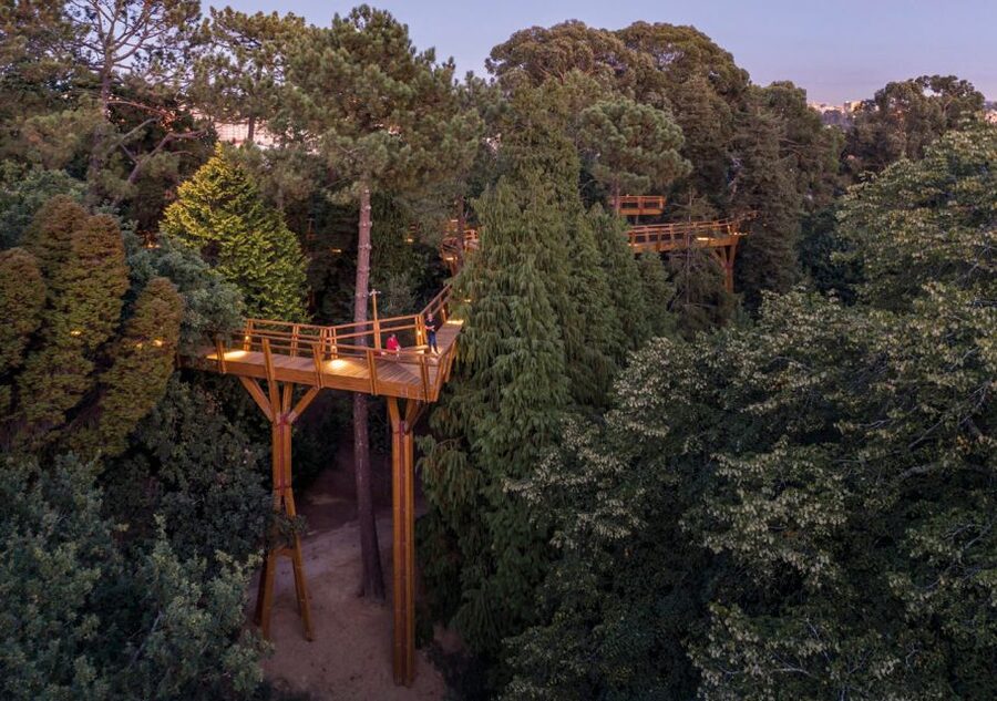 Porto: Serralves Park Entry Ticket - A walk through the history of garden design in Portugal