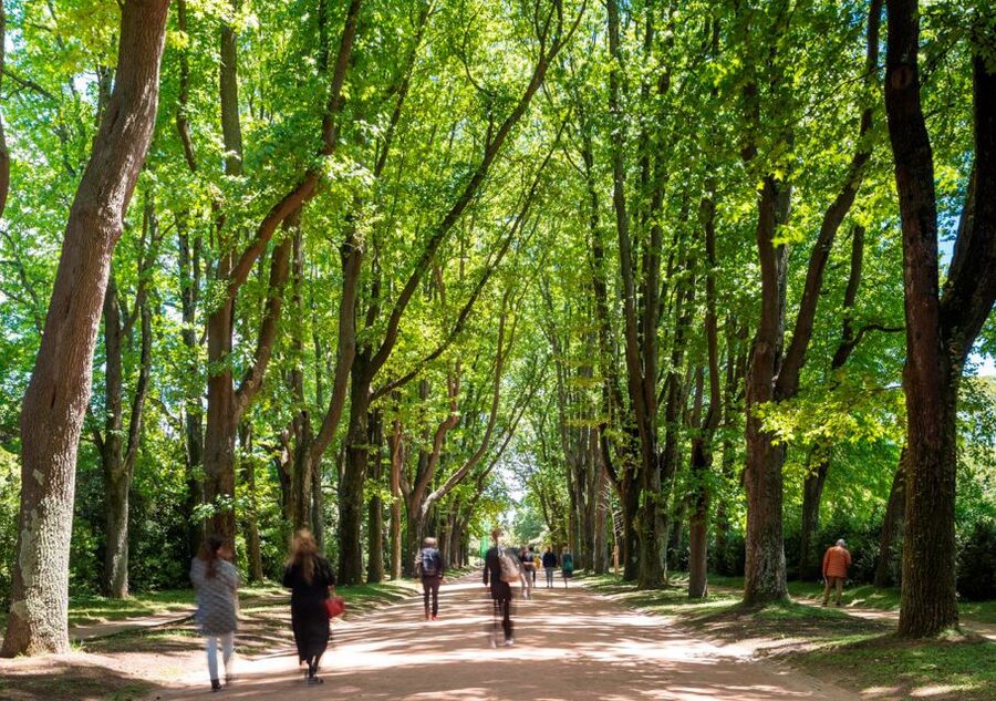 Porto: Serralves Park Entry Ticket - Quick practical notes before you plan