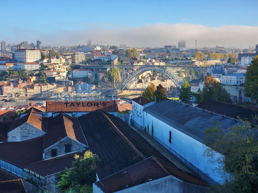 Porto: Sightseeing Tour - Calçada portuguesa and the rhinoceros detail you will remember