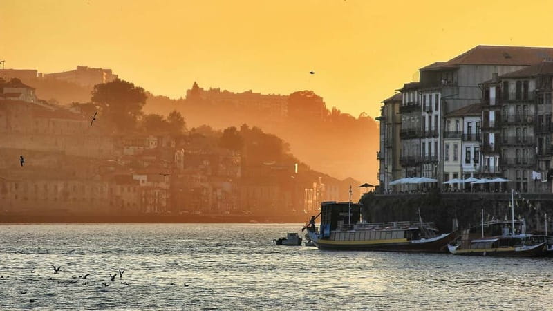 Porto: Sunset Cruise on the Douro River & Iconic Bridges - Porto and Gaia in Golden Hour Light (What to Look For)