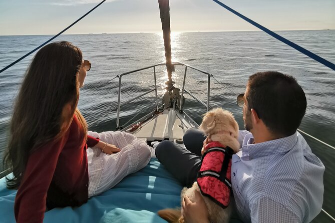 Porto: Sunset or Daytime, Charming Sailboat Cruise on the Douro River - Dom Luís I Bridge: where the city’s two sides meet