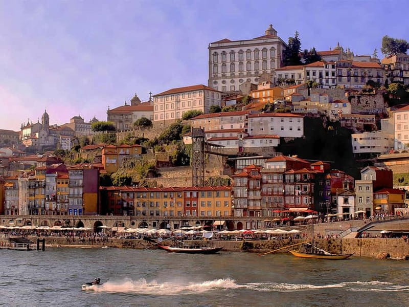 Porto: Sunset or Daytime Yacht Cruise with Welcome drink - Arrábida Bridge and the Early Stretch of River Views