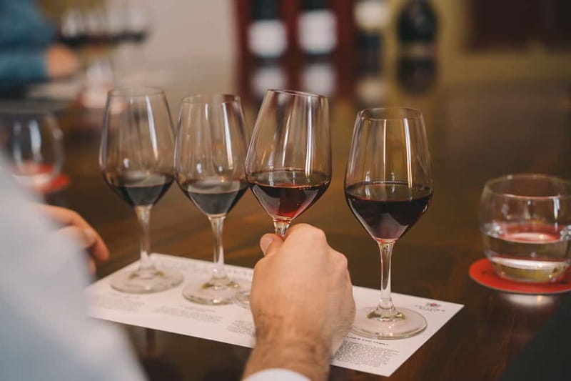 Porto: Taylor's Exclusive Masterclasses - The private tasting room over Porto and the Douro River