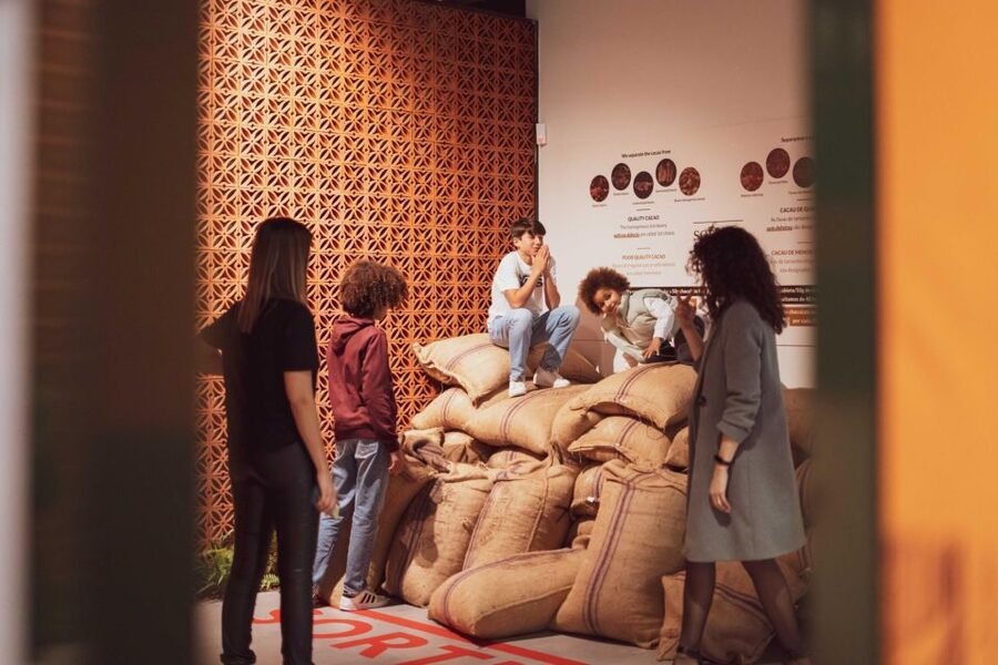 Porto: Taylor’s Port Cellar Tour & WOW Museum Pack - Museum plus cellar: how to plan your order