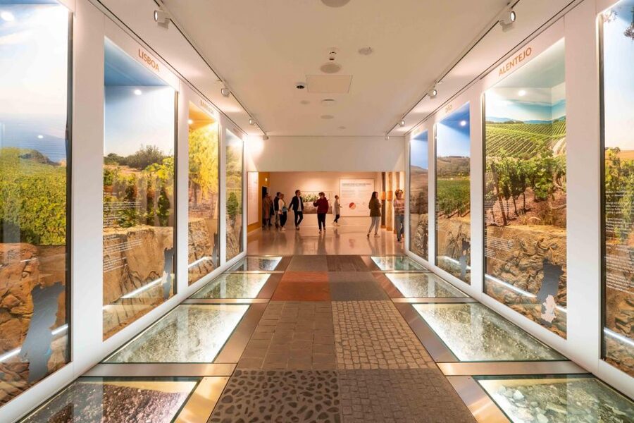 Porto: Taylor’s Port Cellar Tour & WOW Museum Pack - Start at WOW Cultural District and pick your museum