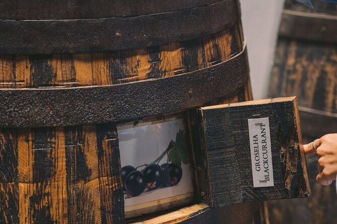 Porto: Taylor's Port Cellars Visit & Port Wine Tasting - Where it lands in a Porto itinerary