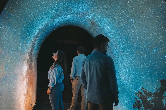 Porto: Taylor's Wine Cellar and Wine Experience - World of Wine (WOW): interactive wine education that actually sticks