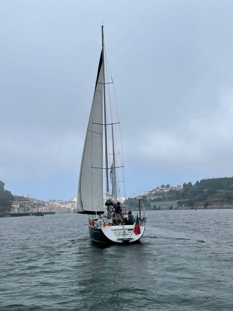 Porto: The Best Douro Boat Tour - Key Things You’ll Notice Right Away