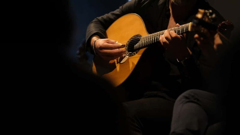 Porto: The highest-rated traditional fado concert (downtown) - A downtown Porto fado club with a real focus