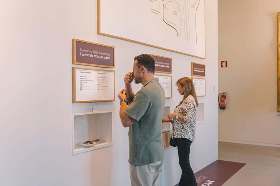Porto: The Wine Experience, Best Wine Museum in the World - Why The Wine Experience at WOW works so well