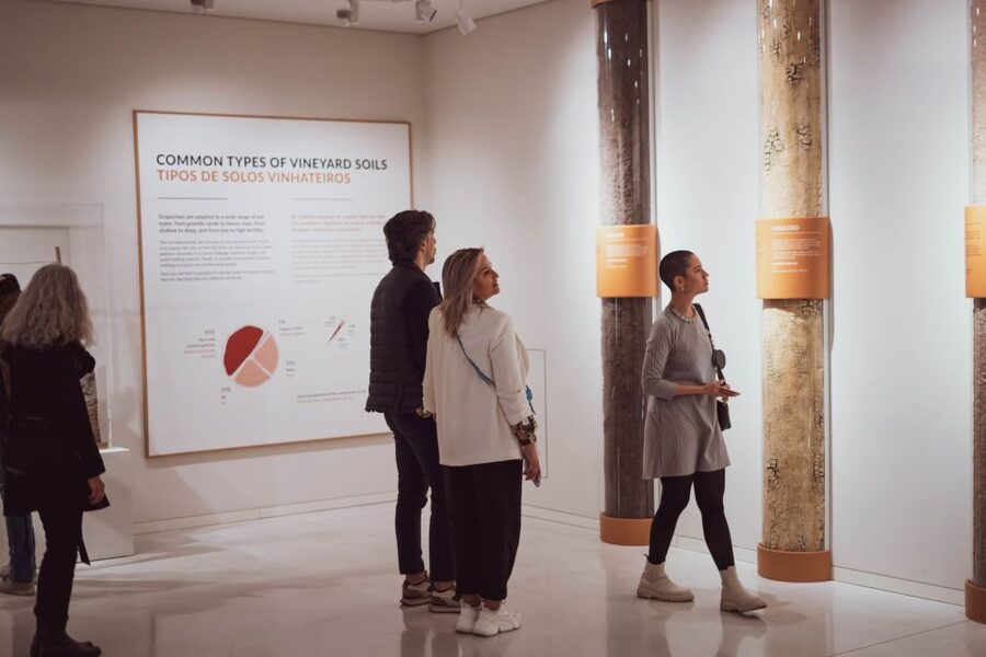 Porto: The Wine Experience, Best Wine Museum in the World - How to get the most value from WOW without rushing