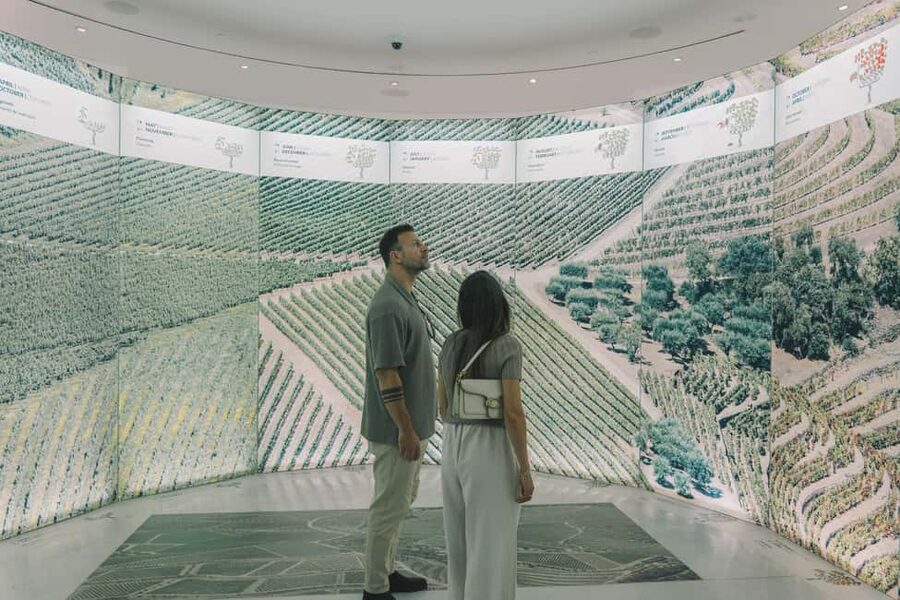 Porto: The Wine Experience, Best Wine Museum in the World - Price and value: what you’re really paying for